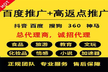 百度平台推广案例：低成本营销的成功之道
